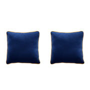 Birchcraft Velvet 2 Piece Indoor Soft Throw Pillow Set Scatter Cushions