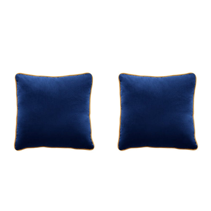 Birchcraft Velvet 2 Piece Indoor Soft Throw Pillow Set Scatter Cushions