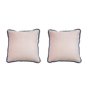 Birchcraft Velvet 2 Piece Indoor Soft Throw Pillow Set Scatter Cushions