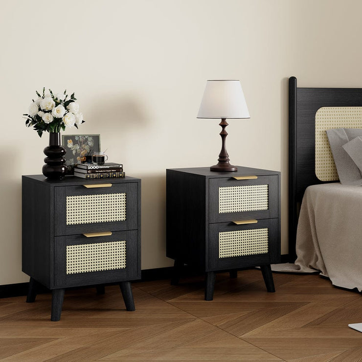 Boho 2 Drawers Rattan Decorated Bedside Storage Cabinet